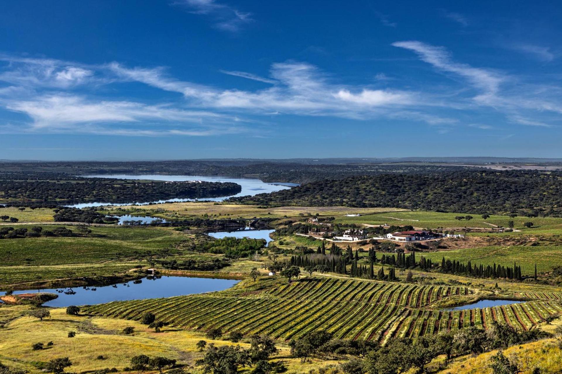 Herdade Do Sobroso Wine&Luxury Boutique Hotel Pedrogao  Extérieur photo