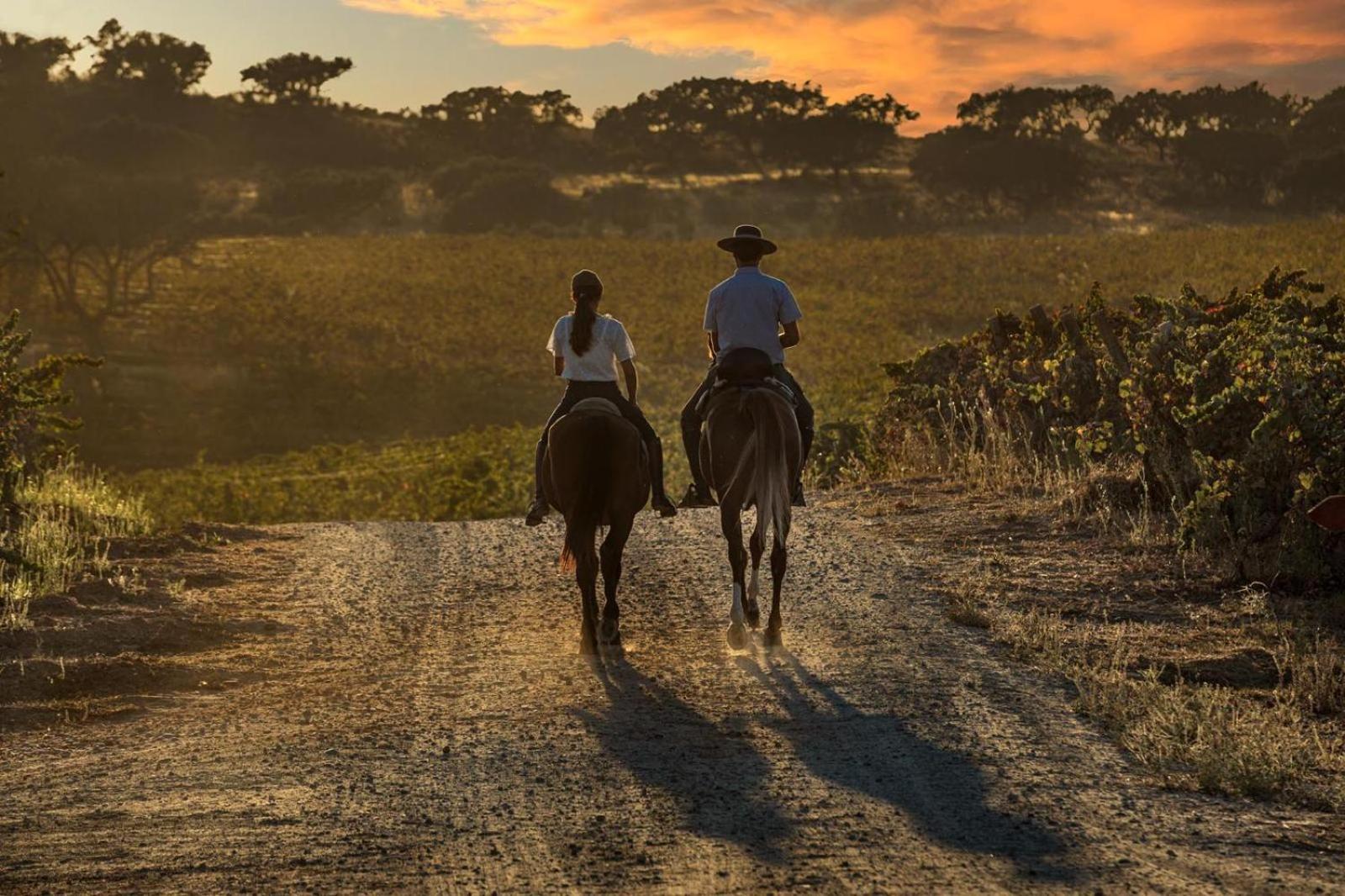 Herdade Do Sobroso Wine&Luxury Boutique Hotel Pedrogao  Extérieur photo
