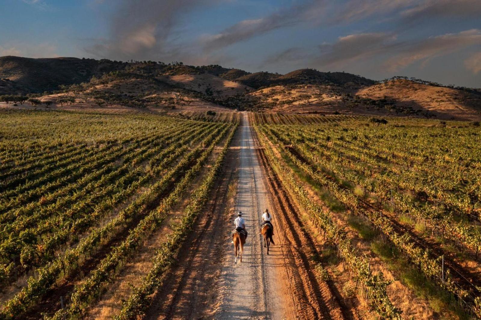 Herdade Do Sobroso Wine&Luxury Boutique Hotel Pedrogao  Extérieur photo