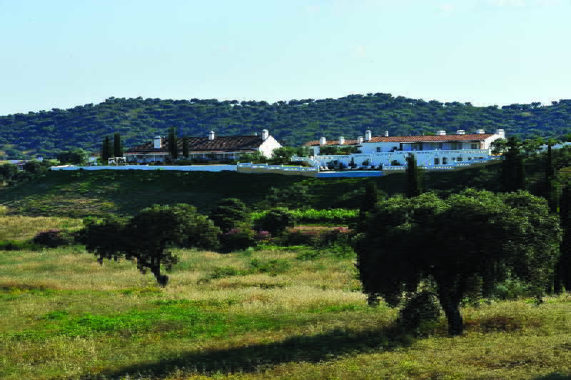 Herdade Do Sobroso Wine&Luxury Boutique Hotel Pedrogao  Extérieur photo