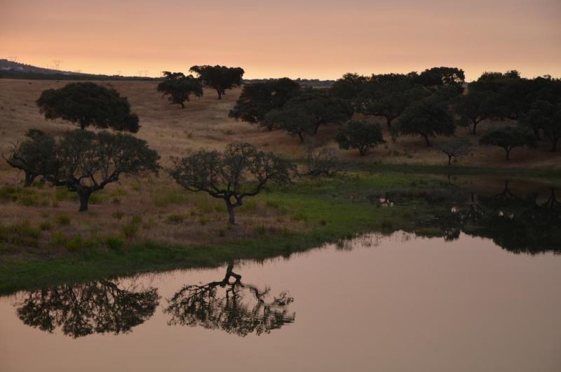 Herdade Do Sobroso Wine&Luxury Boutique Hotel Pedrogao  Extérieur photo
